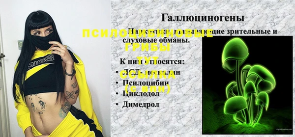 твердый Балахна
