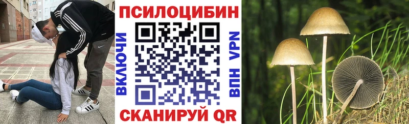 цена   Заринск  Галлюциногенные грибы ЛСД 