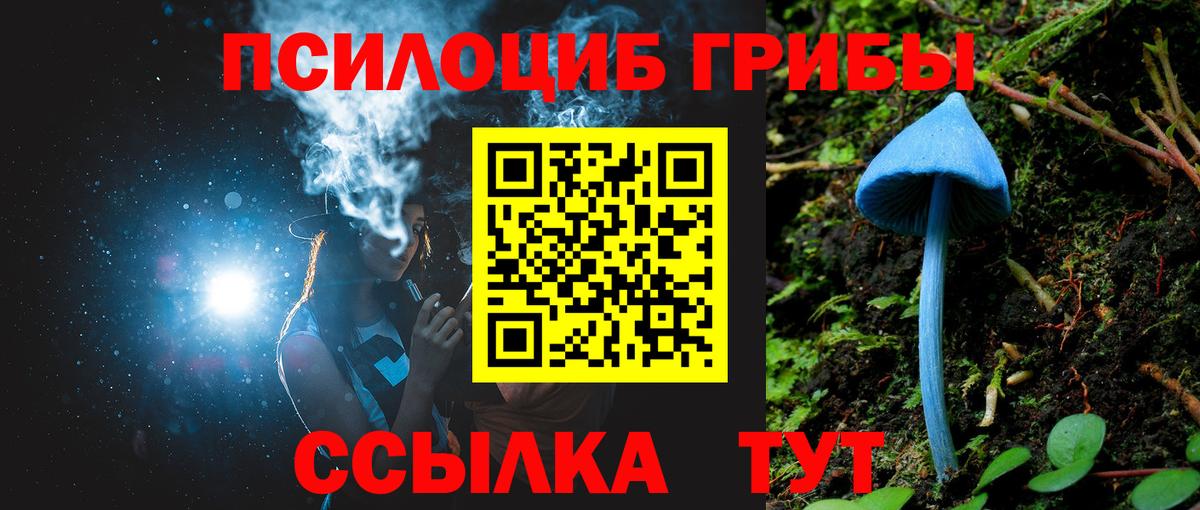 Заринск  Галлюциногенные грибы Magic Shrooms  Вход с VPN 
